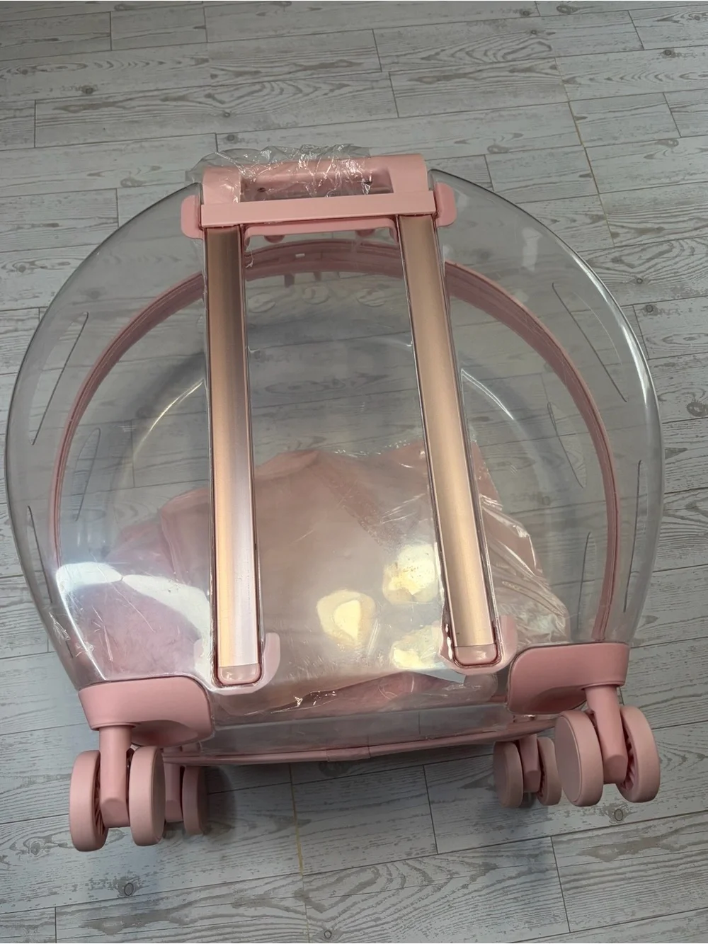 NEW! Clear Bubble Pet Carrier Luggage in Light Pink